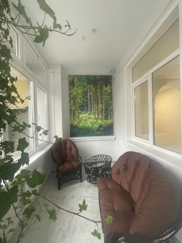  лес в онко (1)